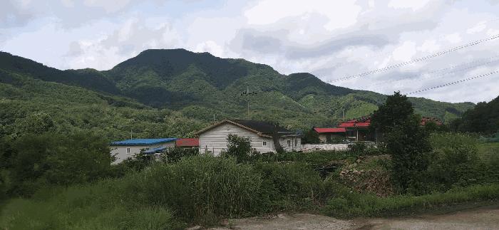 충청북도 음성군 음성읍 용산리 1570 전 경매 사진 12