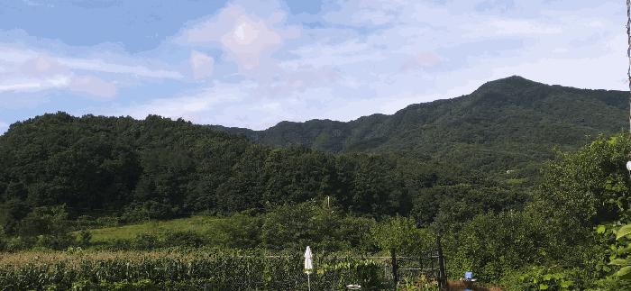 충청북도 음성군 음성읍 용산리 1570 전 경매 사진 13
