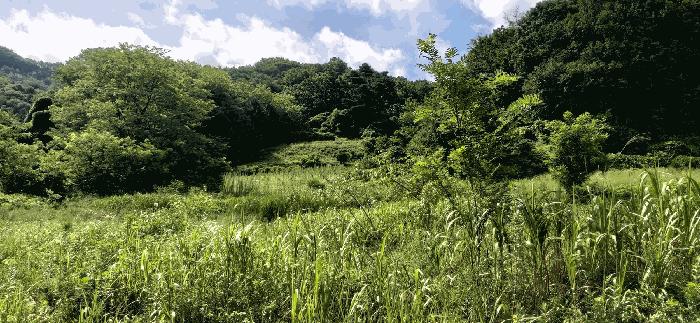 충청북도 음성군 음성읍 용산리 1570 전 경매 사진 14