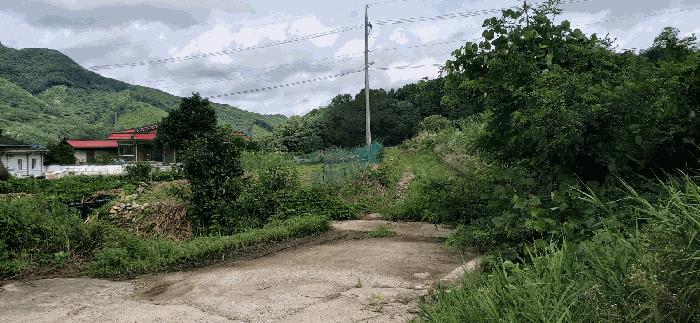 충청북도 음성군 음성읍 용산리 1570 전 경매 사진 17