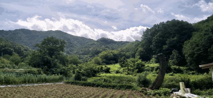 충청북도 음성군 음성읍 용산리 1570 전 경매 사진 24