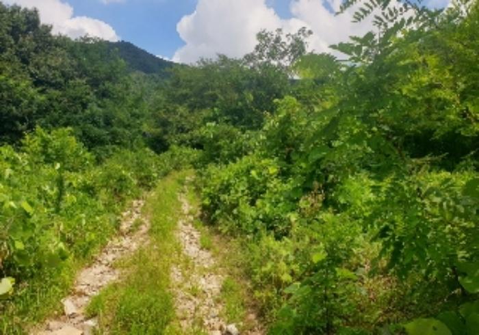 충청북도 음성군 음성읍 용산리 1570 전 경매 사진 32