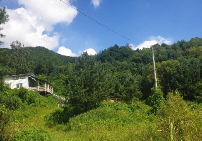 충청북도 음성군 음성읍 용산리 1570 전 경매 사진 35