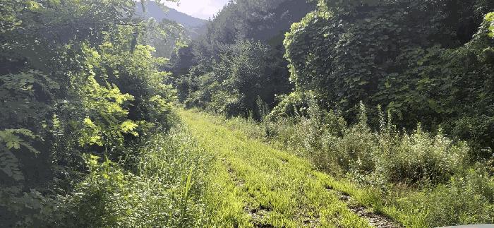 충청북도 음성군 음성읍 용산리 1570 전 경매 사진 4
