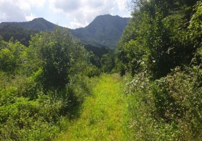 충청북도 음성군 음성읍 용산리 1570 전 경매 사진 40