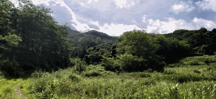 충청북도 음성군 음성읍 용산리 1570 전 경매 사진 6