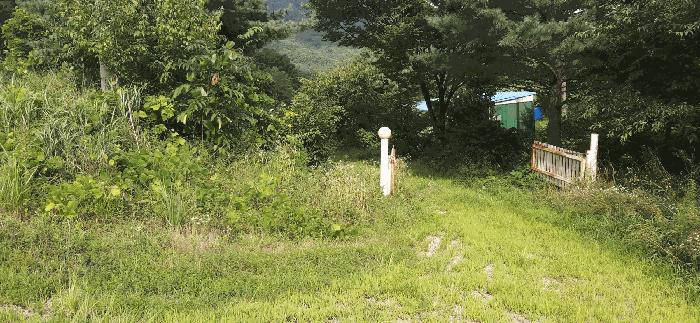 충청북도 음성군 음성읍 용산리 1570 전 경매 사진 7