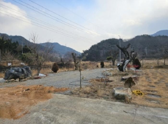 경상남도 산청군 단성면 운리 산98-49 임야 경매 사진 20