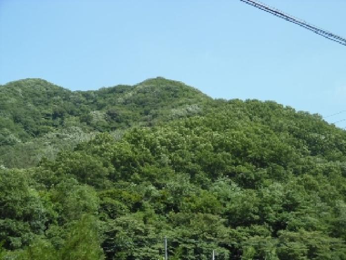 전북특별자치도 완주군 소양면 화심리 산29-1 임야 경매 사진 10