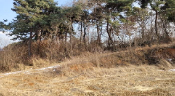 전북특별자치도 익산시 망성면 어량리 339-13 임야 경매 사진 2