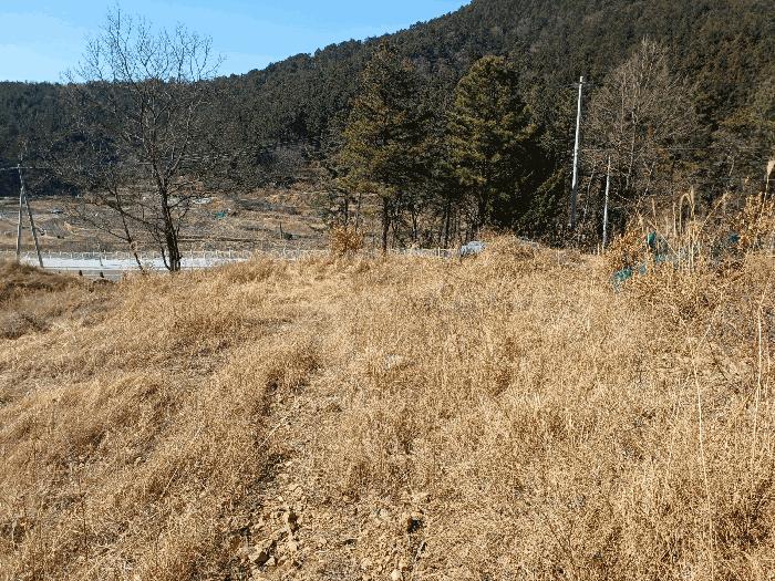 경상남도 사천시 실안동 산215 임야 경매 사진 10