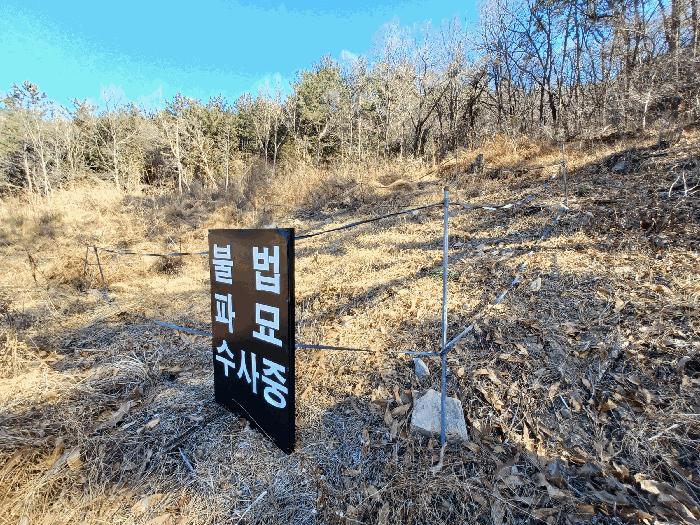 경상남도 사천시 실안동 산215 임야 경매 사진 2