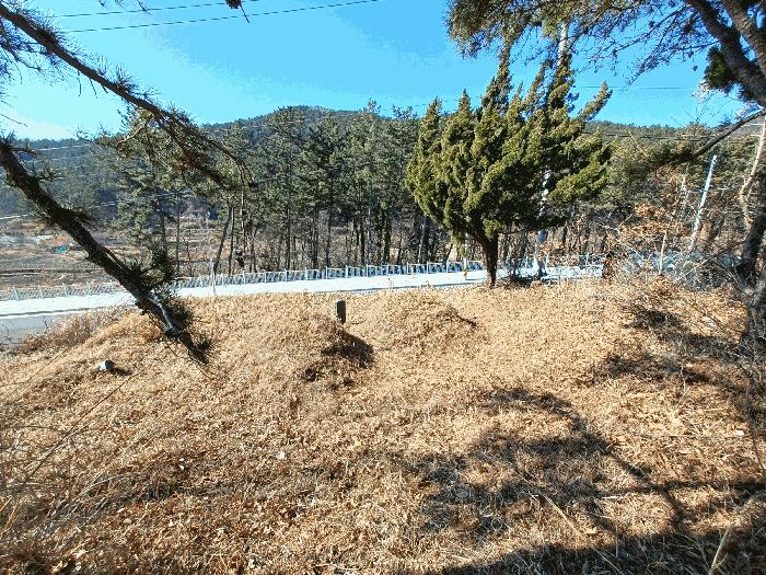 경상남도 사천시 실안동 산215 임야 경매 사진 8