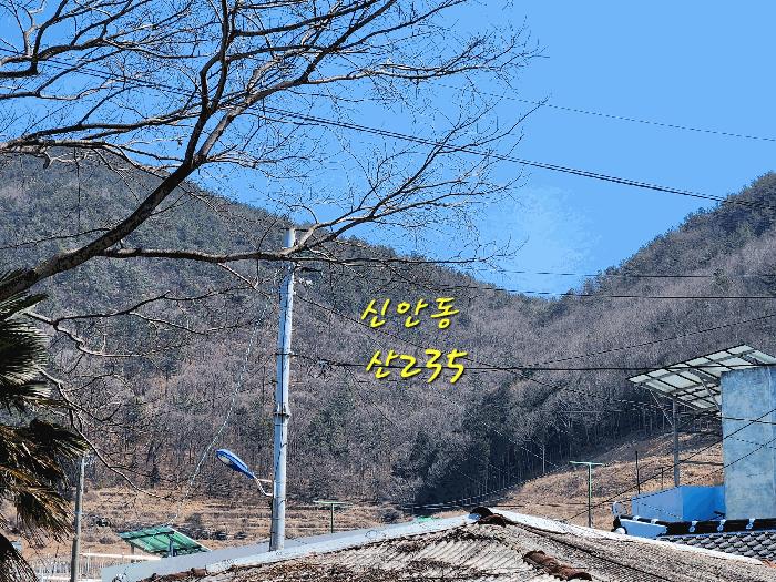 경상남도 사천시 실안동 산235 임야 경매 사진 2
