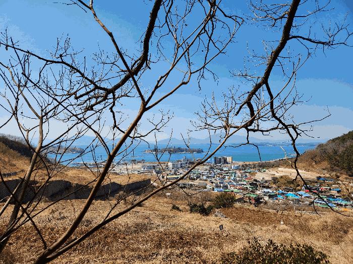 경상남도 사천시 실안동 산235 임야 경매 사진 6