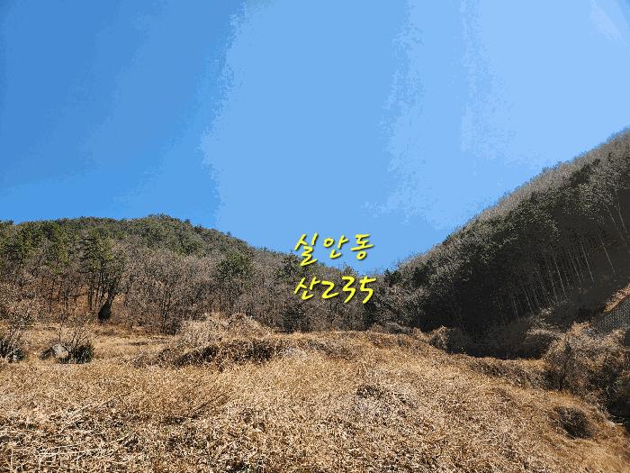 경상남도 사천시 실안동 산235 임야 경매 사진 8