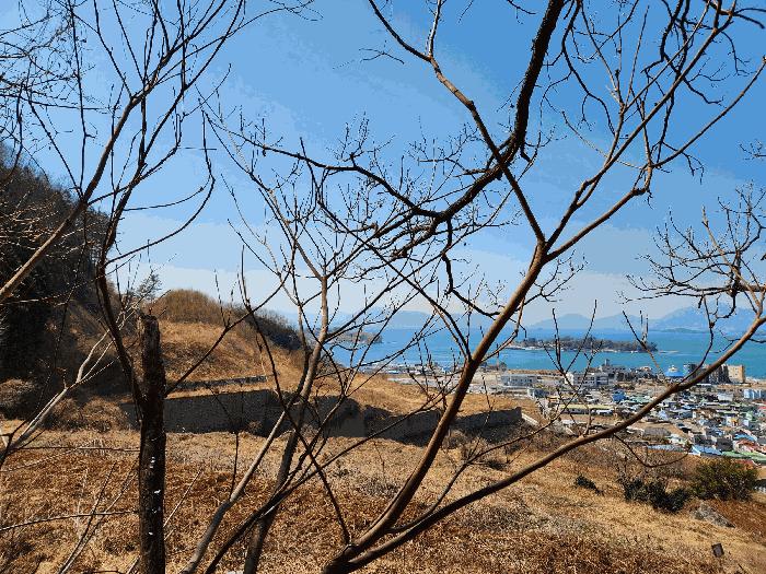 경상남도 사천시 실안동 산235 임야 경매 사진 9