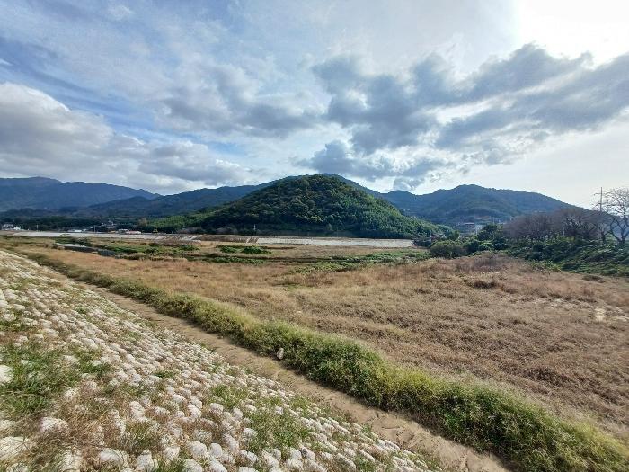 경상남도 하동군 하동읍 흥룡리 1195-4 전 경매 사진 1