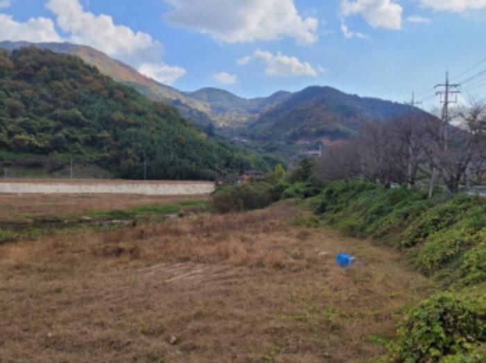 경상남도 하동군 하동읍 흥룡리 1195-4 전 경매 사진 28