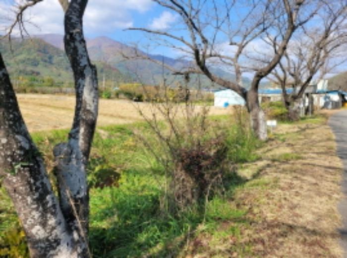 경상남도 하동군 하동읍 흥룡리 1195-4 전 경매 사진 35