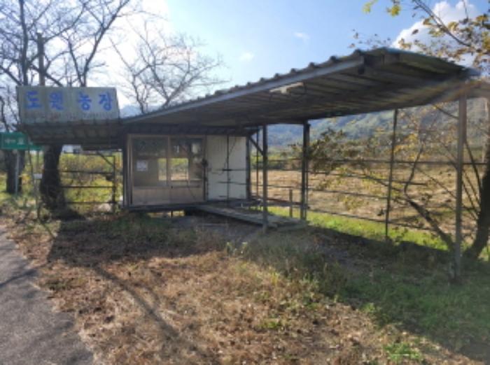 경상남도 하동군 하동읍 흥룡리 1195-4 전 경매 사진 36