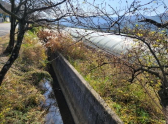 경상남도 하동군 하동읍 흥룡리 1195-4 전 경매 사진 40