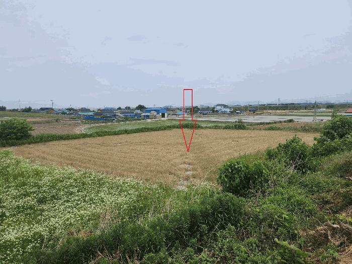 전북특별자치도 부안군 부안읍 옹중리 249 전 경매 사진 2