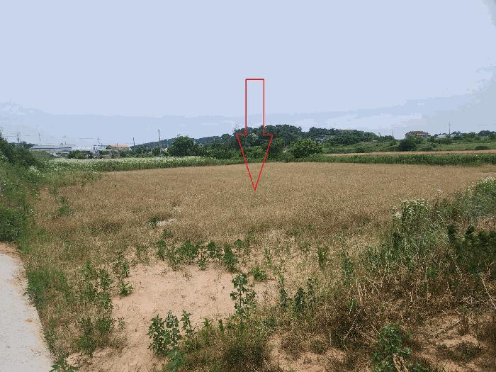 전북특별자치도 부안군 부안읍 옹중리 249 전 경매 사진 3