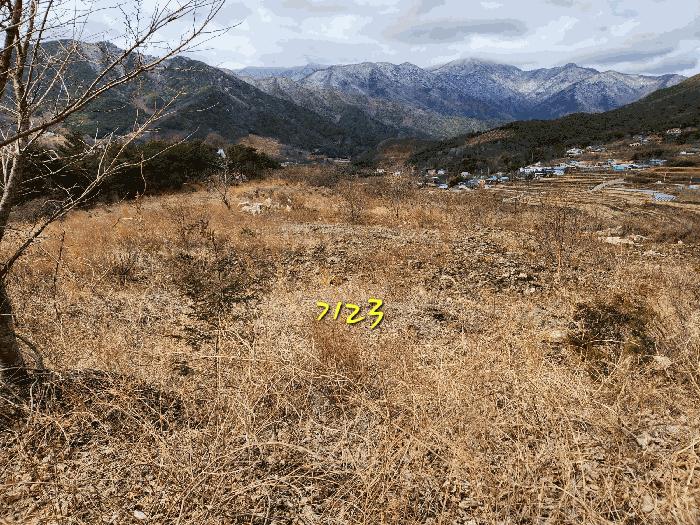 경상남도 산청군 단성면 운리 산98-16 임야 경매 사진 10