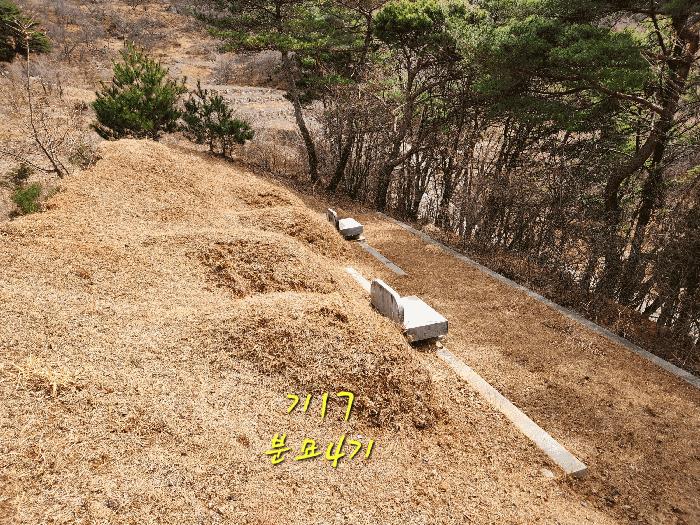 경상남도 산청군 단성면 운리 산98-16 임야 경매 사진 11