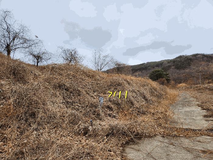 경상남도 산청군 단성면 운리 산98-16 임야 경매 사진 2