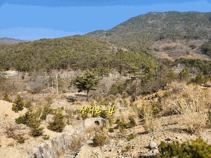경상남도 산청군 단성면 자양리 산92-23 임야 경매 사진 12