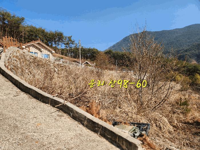 경상남도 산청군 단성면 자양리 산92-23 임야 경매 사진 13