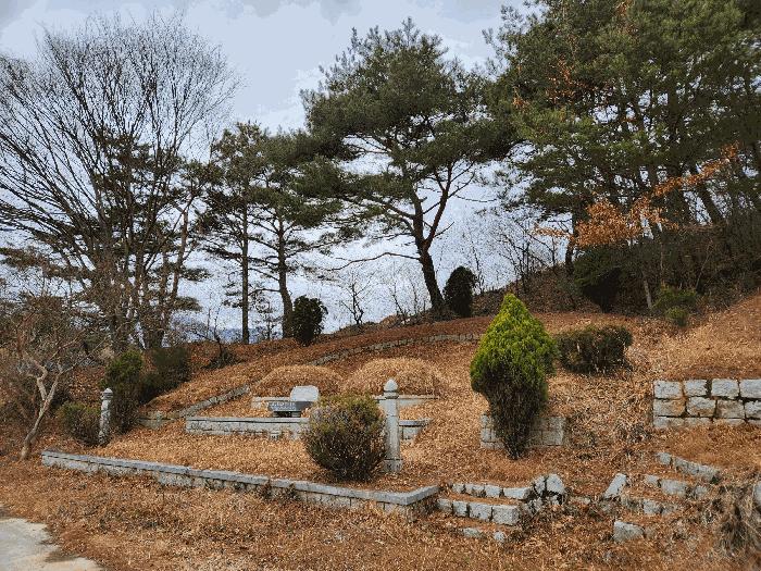 경상남도 산청군 단성면 자양리 산92-23 임야 경매 사진 21