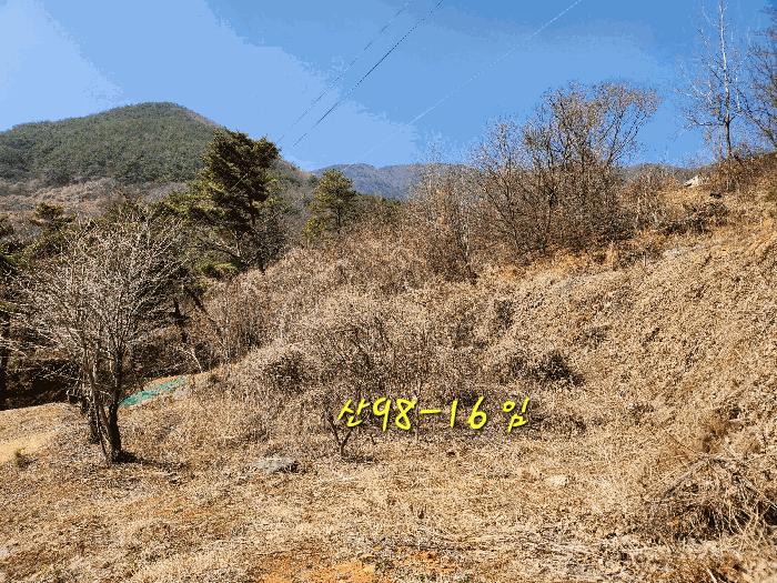경상남도 산청군 단성면 자양리 산92-23 임야 경매 사진 22