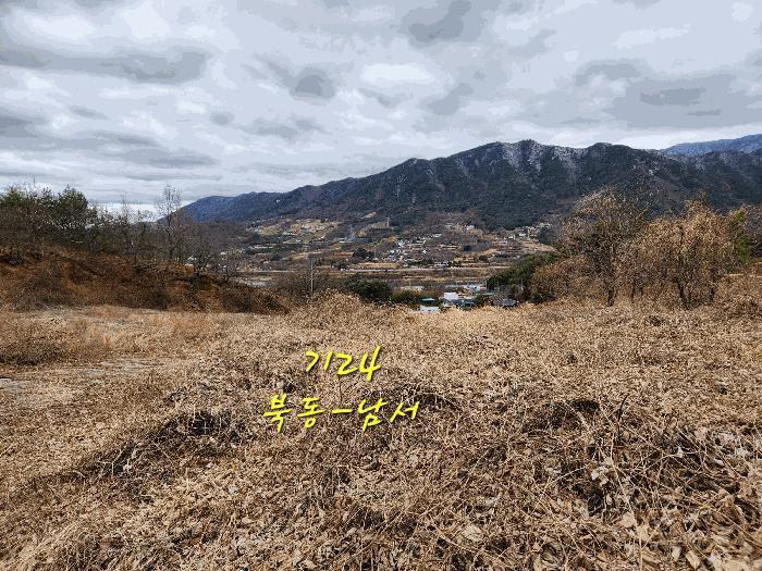 경상남도 산청군 단성면 자양리 산92-23 임야 경매 사진 23