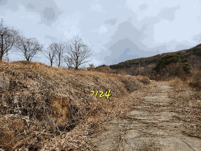 경상남도 산청군 단성면 자양리 산92-23 임야 경매 사진 25
