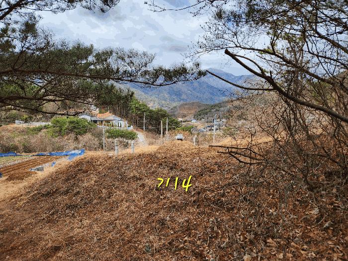 경상남도 산청군 단성면 자양리 산92-23 임야 경매 사진 28