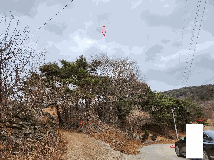 경상남도 산청군 단성면 자양리 산92-23 임야 경매 사진 29