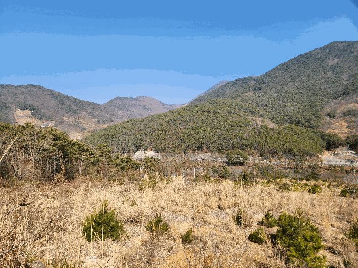 경상남도 산청군 단성면 자양리 산92-23 임야 경매 사진 30