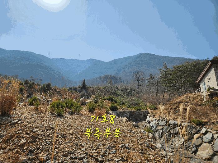경상남도 산청군 단성면 자양리 산92-23 임야 경매 사진 33