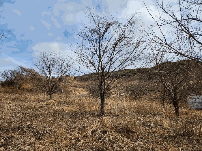 경상남도 산청군 단성면 자양리 산92-23 임야 경매 사진 36