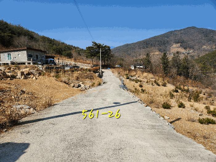 경상남도 산청군 단성면 자양리 산92-23 임야 경매 사진 37