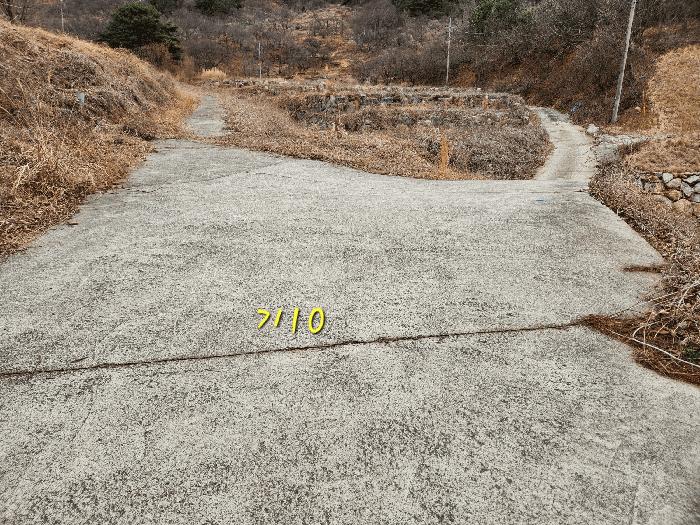 경상남도 산청군 단성면 자양리 산92-23 임야 경매 사진 44