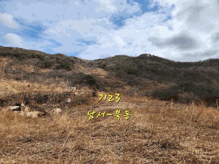 경상남도 산청군 단성면 자양리 산92-23 임야 경매 사진 47