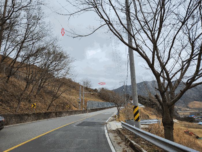 경상남도 산청군 단성면 자양리 산92-23 임야 경매 사진 48