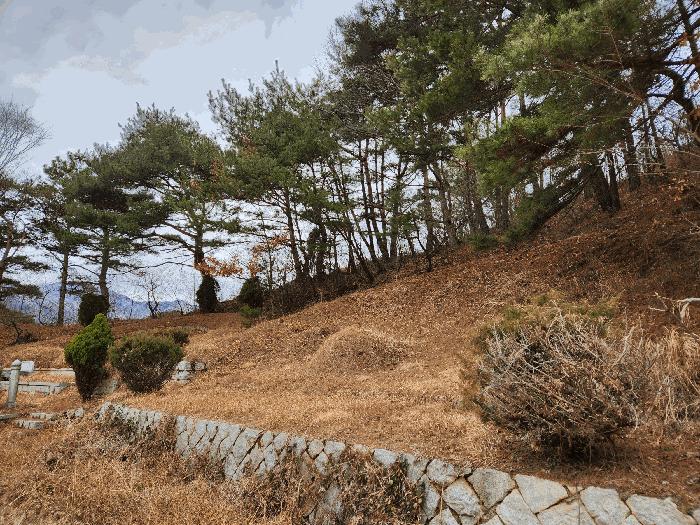 경상남도 산청군 단성면 자양리 산92-23 임야 경매 사진 49