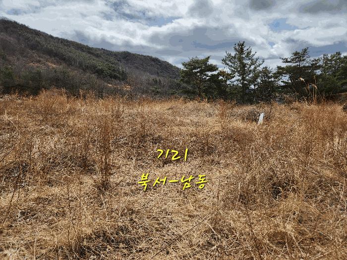 경상남도 산청군 단성면 자양리 산92-23 임야 경매 사진 52