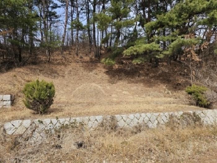 경상남도 산청군 단성면 자양리 산92-23 임야 경매 사진 53