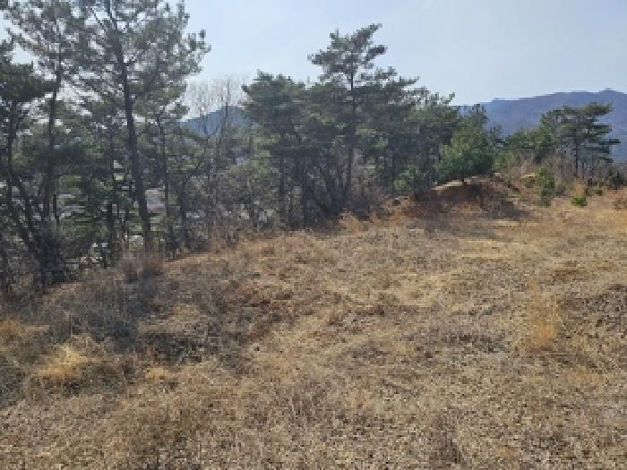 경상남도 산청군 단성면 자양리 산92-23 임야 경매 사진 55